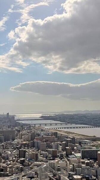 大象dx视频导航回家-探索大象DX视频导航，自然界的智慧与科技融合的奇迹