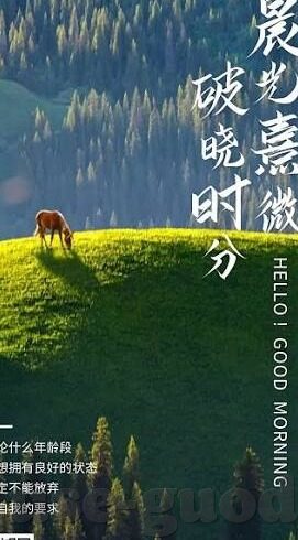 麻豆成人app下载-打造安全消费的数字环境